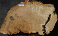 Load image into Gallery viewer, Box Elder Slice