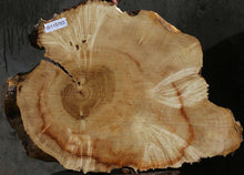 Load image into Gallery viewer, Box Elder Slice