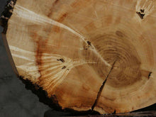 Load image into Gallery viewer, Box Elder Slice