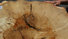 Load image into Gallery viewer, Box Elder Slice