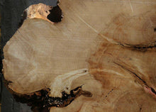 Load image into Gallery viewer, Box Elder Slice