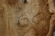 Load image into Gallery viewer, Tiger Myrtle Slab