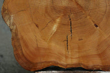 Load image into Gallery viewer, Douglas Fir Cookie