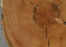 Load image into Gallery viewer, Douglas Fir Cookie