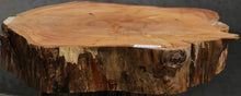 Load image into Gallery viewer, Douglas Fir Cookie