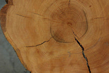 Load image into Gallery viewer, Douglas Fir Cookie