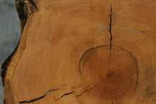 Load image into Gallery viewer, Douglas Fir Cookie