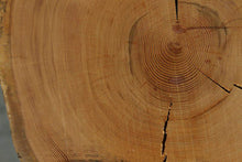 Load image into Gallery viewer, Douglas Fir Cookie