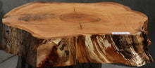 Load image into Gallery viewer, Douglas Fir Cookie