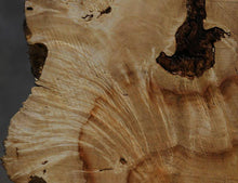 Load image into Gallery viewer, Box Elder Slice
