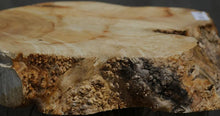 Load image into Gallery viewer, Box Elder Slice