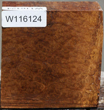 Load image into Gallery viewer, Brown Mallee Burl Bowl Blank