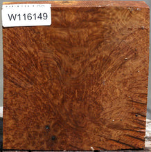 Load image into Gallery viewer, Brown Mallee Burl Bowl Blank