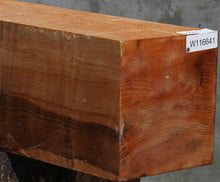Load image into Gallery viewer, Figured Maple Vessel Blank