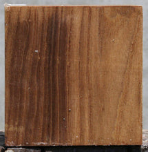 Load image into Gallery viewer, Elm Bowl Blank