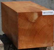 Load image into Gallery viewer, Maple Vessel Blank