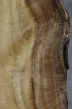 Load image into Gallery viewer, Figured Myrtle Slab