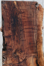 Load image into Gallery viewer, Rustic Grafted English/Claro Walnut Slab