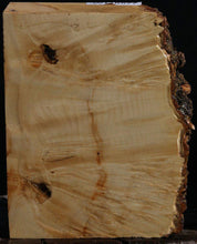 Load image into Gallery viewer, Quartersawn Box Elder Burl Live Edge Lumber