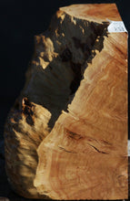 Load image into Gallery viewer, Red Mallee Burl Cap
