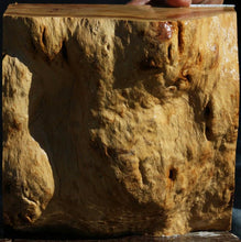 Load image into Gallery viewer, Rustic Yellow Box Burl Cap