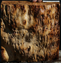 Load image into Gallery viewer, Red Resin Gum Burl Cap