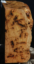 Load image into Gallery viewer, Red Resin Gum Burl Cap