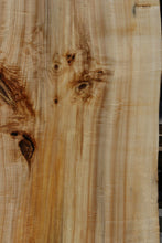 Load image into Gallery viewer, Figured Black Cottonwood Slab