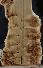 Load image into Gallery viewer, Mappa Burl Slab