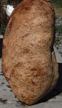 Load image into Gallery viewer, XF Brown Mallee Burl Cap