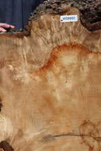 Load image into Gallery viewer, Live Edge Box Elder Slab