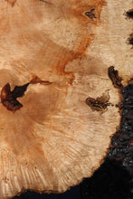 Load image into Gallery viewer, Live Edge Box Elder Slab