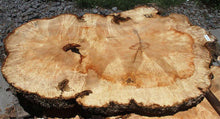 Load image into Gallery viewer, Live Edge Box Elder Slab