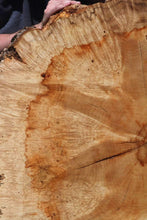 Load image into Gallery viewer, Live Edge Box Elder Slab