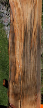 Load image into Gallery viewer, Monkey Puzzle Slab