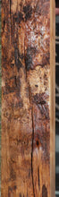 Load image into Gallery viewer, Monkey Puzzle Slab