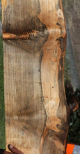 Load image into Gallery viewer, Monkey Puzzle Slab