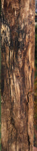 Load image into Gallery viewer, Live Edge Pacific Koa (Guanacaste) Mantel