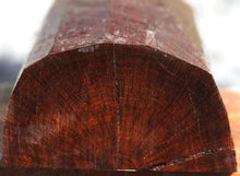 Load image into Gallery viewer, Snakewood Half Log