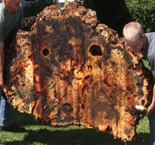 Load image into Gallery viewer, Buckeye Burl Slab