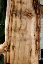 Load image into Gallery viewer, Exhibition Fiddleback Myrtle Lumber