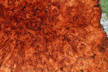 Load image into Gallery viewer, XF Asian Pan Burl Tabletop