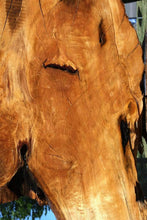 Load image into Gallery viewer, Rustic Port Orford Cedar Slab