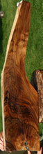 Load image into Gallery viewer, Exhibition Grade English Walnut Feather Crotch Rifle Stock