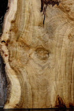 Load image into Gallery viewer, Exhibition Oregon Tiger Myrtle Live Edge Slab