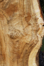 Load image into Gallery viewer, Exhibition Oregon Tiger Myrtle Live Edge Slab