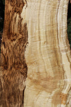 Load image into Gallery viewer, Exhibition Oregon Tiger Myrtle Slab