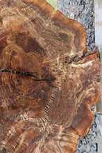 Load image into Gallery viewer, Claro Walnut Burl Slab