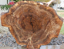 Load image into Gallery viewer, Claro Walnut Burl Slab