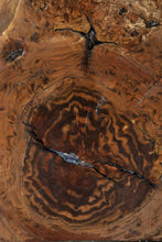 Load image into Gallery viewer, Exhibition Claro Walnut Burl Slab